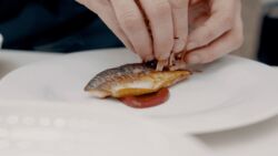 chef sargent gourmet experience private chef 9 uai